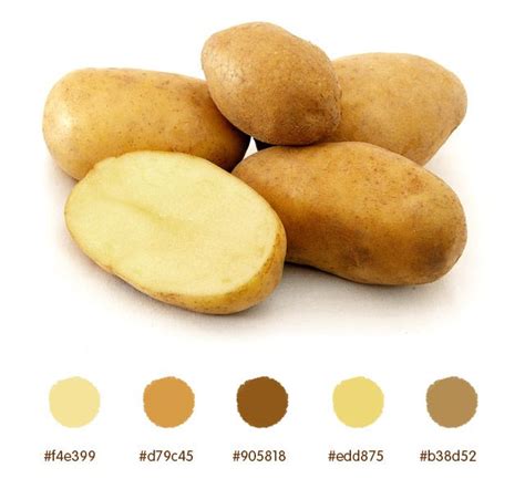 Potato color palette | White food, Potatoes, Nutrition