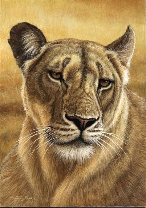 lioness by Jeremy Paul - colored pencil drawing - animal | Big cats art, Wildlife artists ...