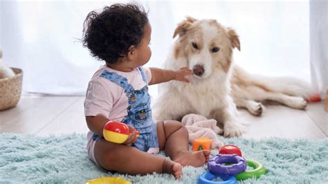 Best Pets for Kids and How To Choose Them | Mom.com