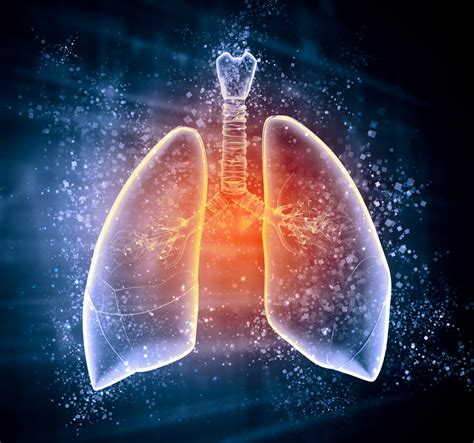 UK Researchers Create Stem Cell-Based “Mini-Lungs” for Lung Diseases Modeling