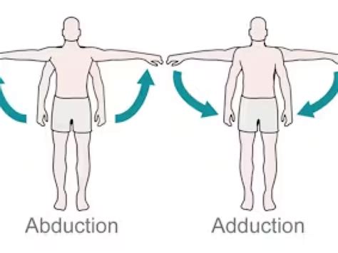 Shoulder Abduction - Movement, ROM, Muscles, Exercises