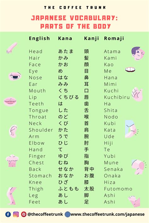 Japanese Flashcards Microsoft Word | Kleos Canariasgestalt