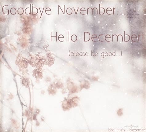 Hello December Picture Quotes | Hello december pictures, Hello december, Hello november