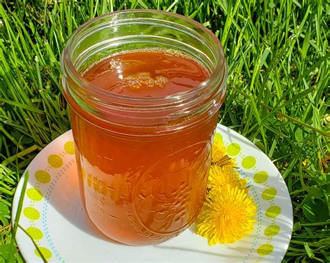 How to make Dandelion Honey ⋆ Angie's Crafty Stuff