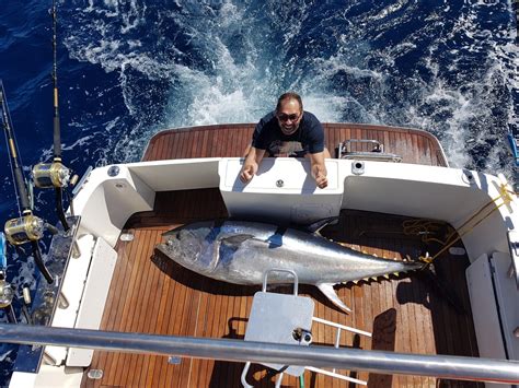 Yellowfin tuna vs Bluefin tuna: Quick Guide - Tom's Catch Blog