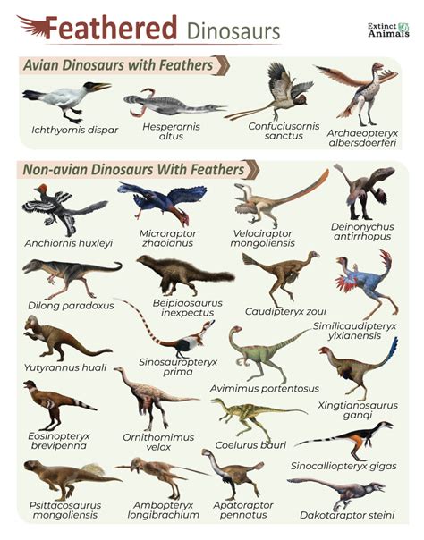 Feathered Dinosaurs – Facts, List, Pictures