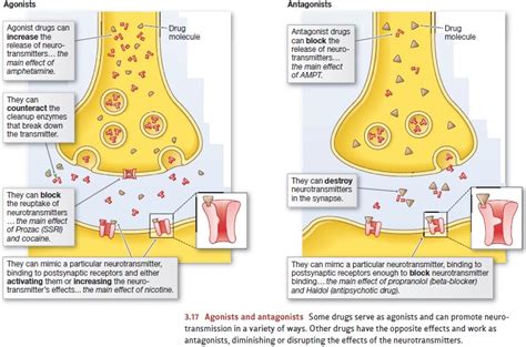 Drugs and Neurotransmitters