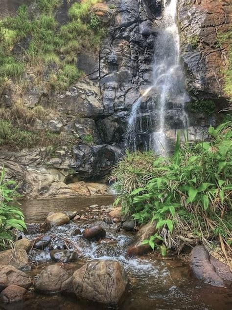 Bambarakanda Falls: Tallest Waterfall In Sri Lanka