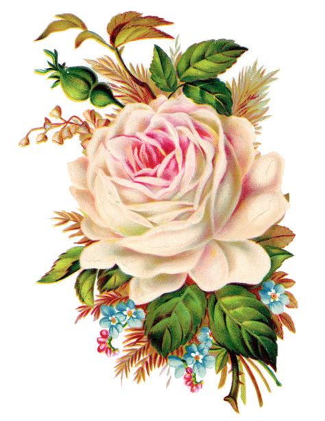 Clip Art: Royalty Free Gorgeous Vintage Rose Image - Free Pretty Things ...