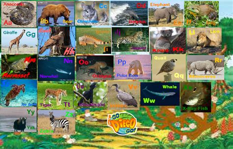 Go Diego Go Animal Alphabet by davinay on DeviantArt