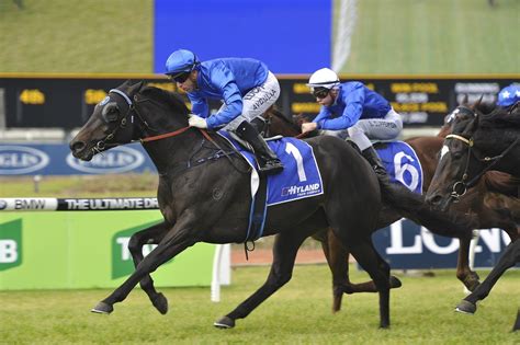 Morton's Fork set to tackle the Rosehill Gold Cup | Sports News Australia