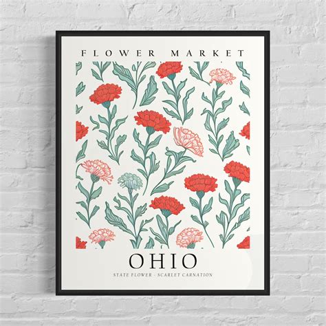 Ohio State Flower, Ohio Flower Market Art Print, Scarlet Carnation 1960 ...