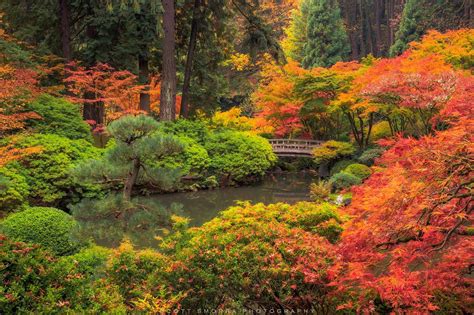 Tranquil Garden | Portland Japanese Garden, Portland, Oregon | Scott Smorra