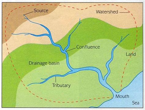 The Drainage Basin by Patricia Kokkinou | Social studies middle school, Earth science middle ...