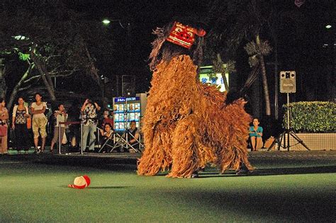 Shishimai (Okinawan Lion Dance) by Internet-Okinawa.com, via Flickr ...