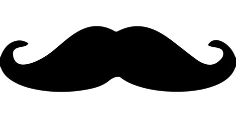 Download Disguise, Mustache, Beard. Royalty-Free Vector Graphic - Pixabay