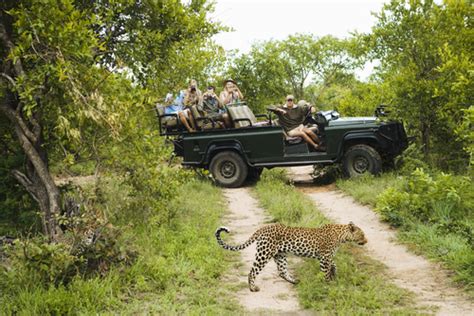 Los mejores safaris fotográficos – Mi Viaje