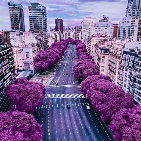 View Buenos Aires Beautiful Places Pictures - Backpacker News