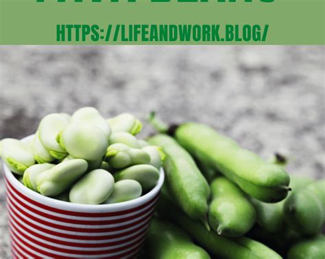 How To Grow Fava Beans