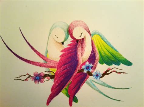 Pencil Drawing Images Of Love Birds - Rectangle Circle