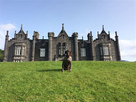 The queen of the Castle !! Belleek Castle on the wild Atlantic way ...