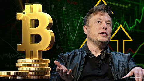 Misconceptions People Have About Elon Musk and Bitcoin - PMCAOnline