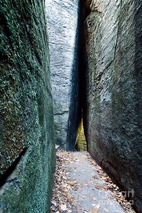 Rim Rock Trail - Illinois Photograph by Jack R Brock - Fine Art America