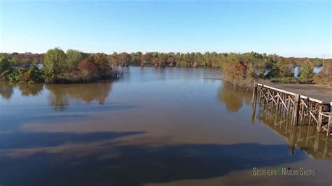 Aerial footage of Atchafalaya Basin - YouTube