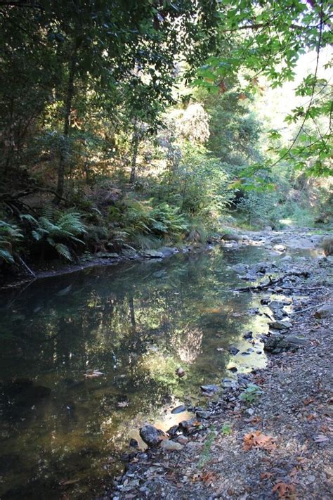 Portola Redwoods SP: Tiptoe Falls - littlegrunts.com