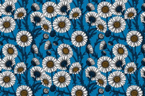 Daisies on Blue Wallpaper - Happywall