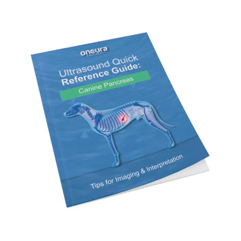 [Downloadable Guide] Ultrasound Quick Reference Guide for the Canine Pancreas