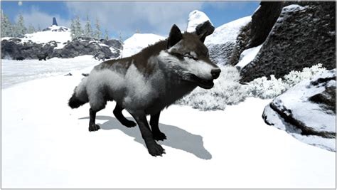 Ark Direwolf Guide (Abilities, Taming, Food, Saddle, Breeding, Drops & Location) - ProGameTalk