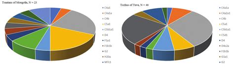 Mitochondrial DNA haplogroups (%) in the populations of the Tsaatans of... | Download Scientific ...