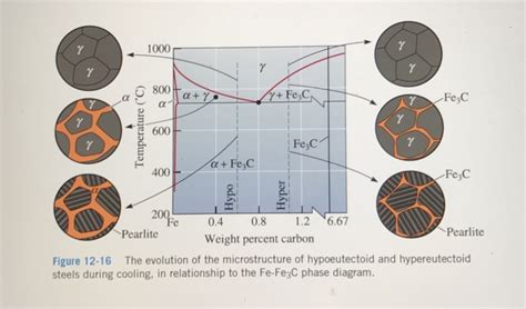 Solved: 8) Use The Phase Diagram Sop For An Iron-carbon (F... | Chegg.com