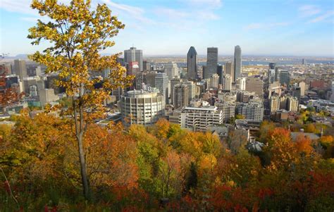 The Best Views on Montreal's Mont-Royal