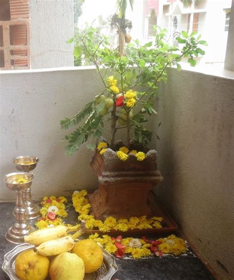 How To Do Tulasi Puja At Home - andre