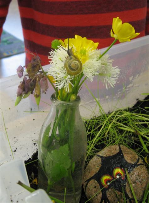 StrongStart: Snail Garden