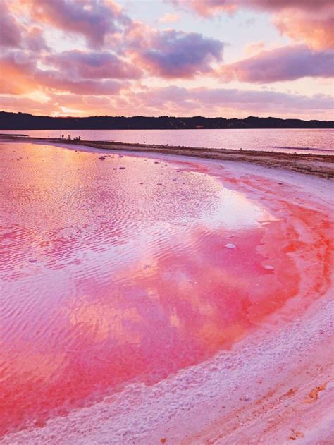 15 fotos aéreas fantásticas do lago rosa da Austrália por Kristina ...