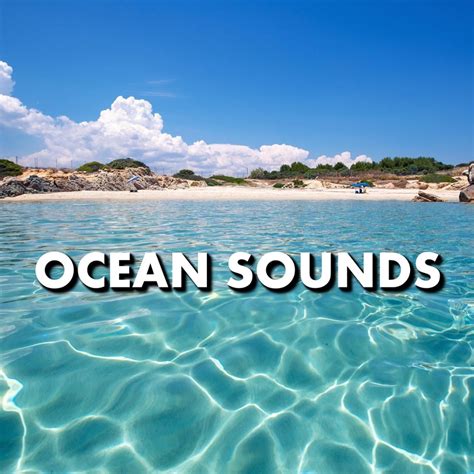 Listen Free to Ocean Sounds - Beach Sounds Radio | iHeartRadio