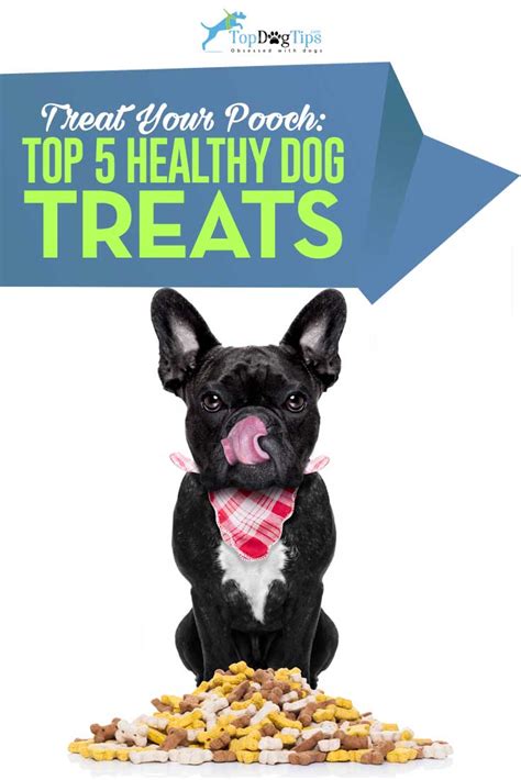 Top 9 Best Healthy Dog Treats of 2019 (all-natural, organic ingredients)