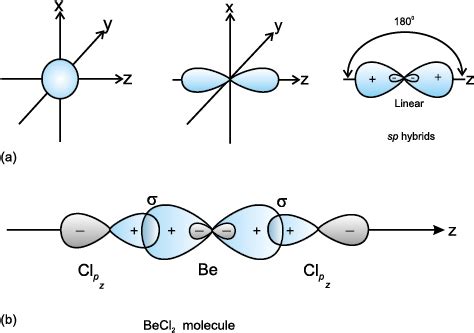 NCERT Section