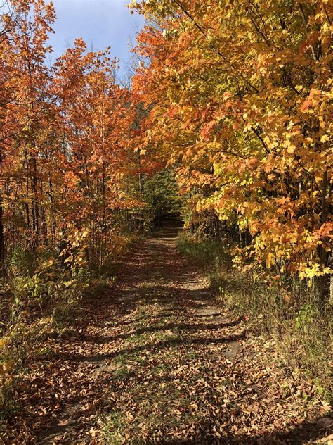 Conservation Of The Minesing Wetlands Expanded | Bayshore Broadcasting News Centre