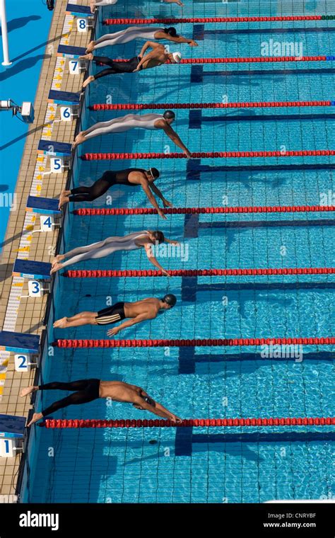 Start of men's swimming race Stock Photo - Alamy