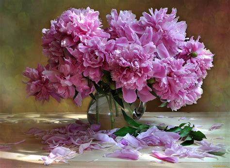 Download Pink Flower Vase Peony Earth Man Made Flower HD Wallpaper