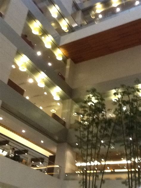 Hospital Lobby @Bangkok | Ceiling lights, Hospital lobby, Chandelier