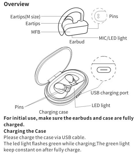 True Wireless Earbuds User Manual