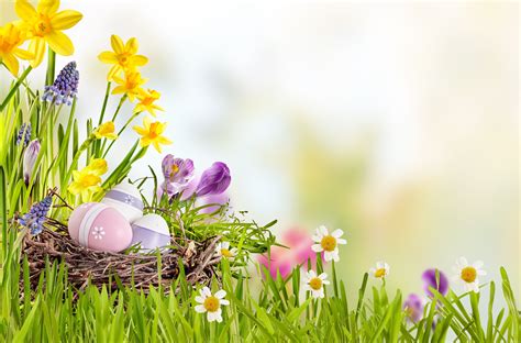 Easter Basket Wallpapers - Wallpaper Cave