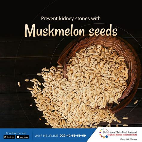 Muskmelon Seeds Benefits | atelier-yuwa.ciao.jp