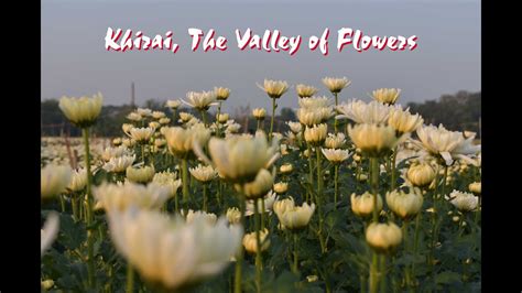 Khirai, the Valley of Flowers - YouTube