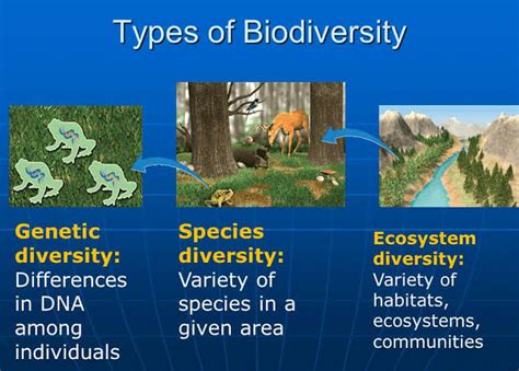 Biodiv... - Lakshmi Future Career Guidance & Counselling India | Facebook